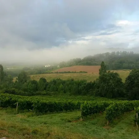 Летний дом Vineyard View Studio France Le Fleix