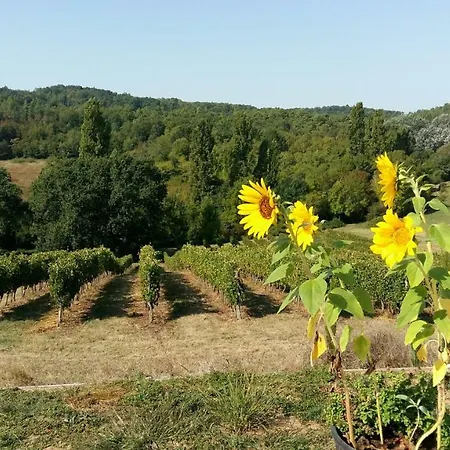 Летний дом Vineyard View Studio France