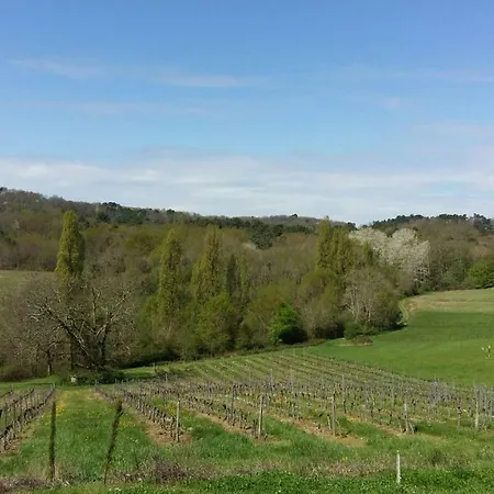 Vineyard View Studio France Летний дом
