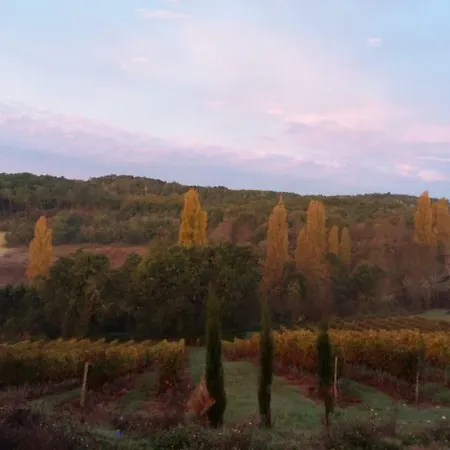 Летний дом Vineyard View Studio France *